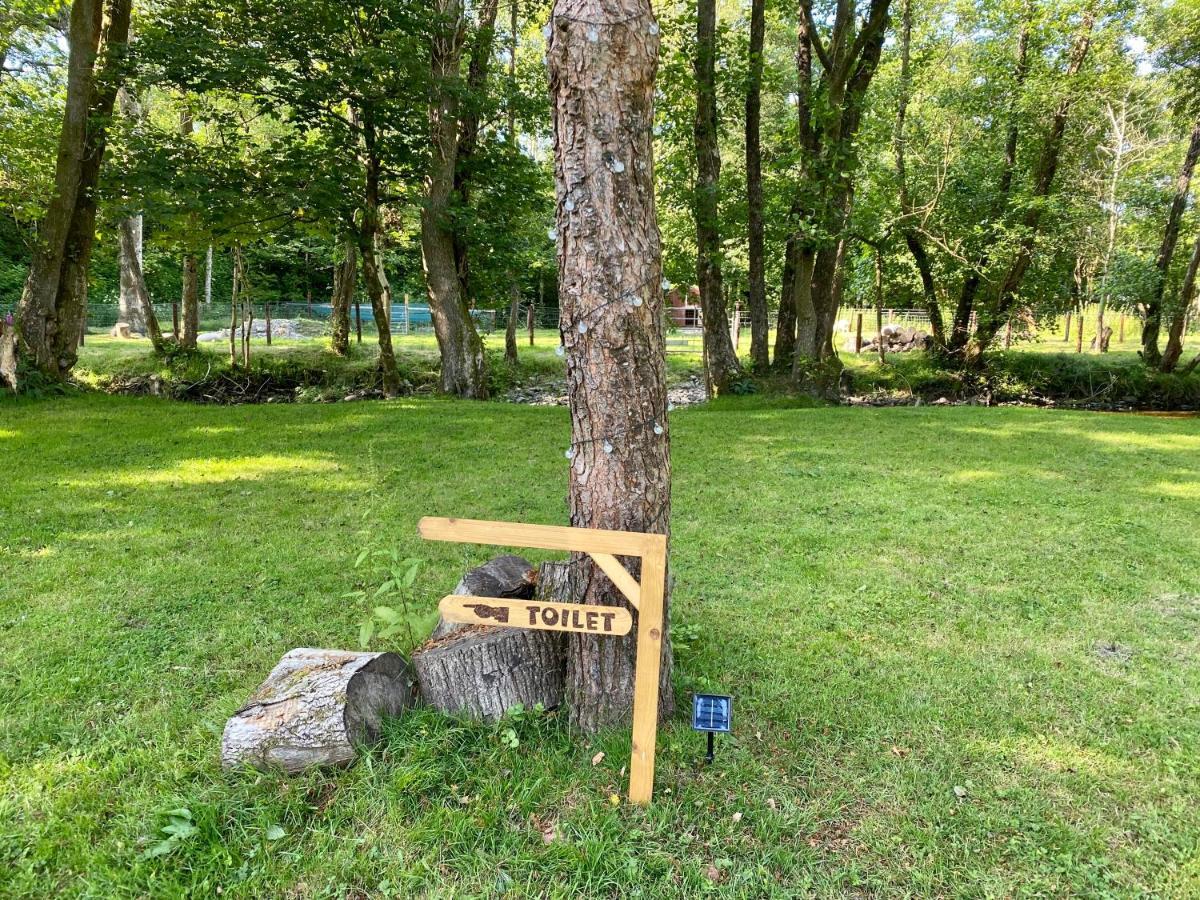 Hotel River View Glamping Llandovery Exterior foto