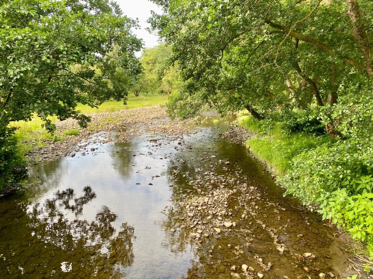 Hotel River View Glamping Llandovery Exterior foto