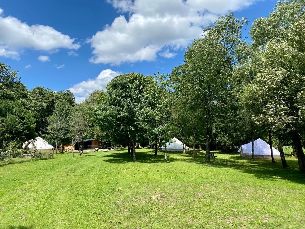 Hotel River View Glamping Llandovery Exterior foto